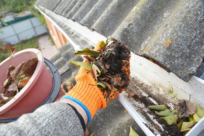 Gutter Cleaning: 5 DIY Tips to Get it Done in No Time