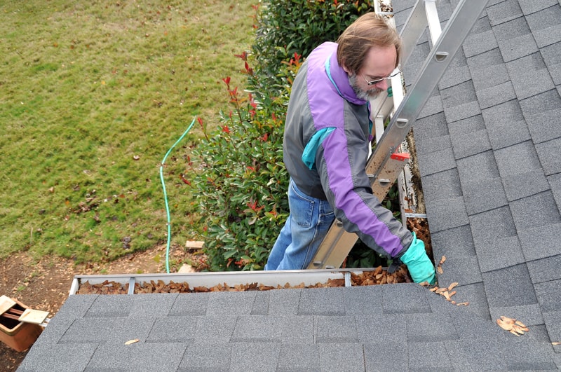 Preparing Your Roof for Autumn